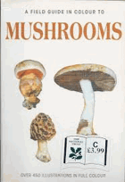 Mushrooms Houby Mykologie