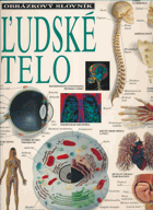 Ľudské telo Obrázkový slovník A4 plus formát !