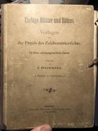 Farbige Blätter und Blüten Litographien !! Vorlagen aus der Praxis des Zeichenunterrichts. Für ...