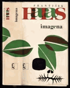 Imagena Teoretické stati O poezii, kultuře, politice