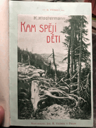 Kam spějí děti Pošumavský román VEV OB ŠUMAVA BÖHMERWALD