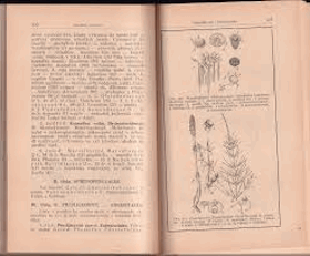 Mineralogie Petrografie Geologie Přehledy věd přírodních I č2