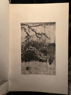 2SVAZKY Básnické dílo I II NESIGN GRAFIKA REYNEK