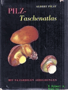 Pilz-Taschenatlas. Farbtafeln nach Aquarellen von Otto Usak. Aus dem Tschechischen von Lucian Wichs.
