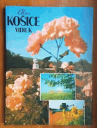 Okres Košice Vidiek