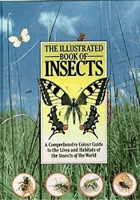 The Illustrated Book of Insects