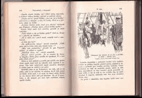 Dobrodruhem z donucení