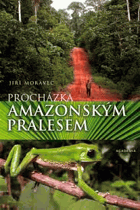 Procházka amazonským pralesem