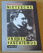 Nietzsche und der Faschismus - eine Studie über Nietzsches politische Philosophie und ihre Folgen