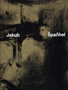 Jakub Špaňhel REYNEK B jako inspirace