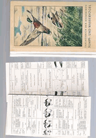 Taschenbuch der heimischen Sumpf- und Wasservögel