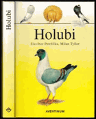 Holubi