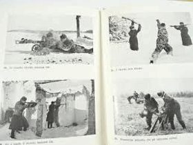 Lidové milice v Severomoravském kraji