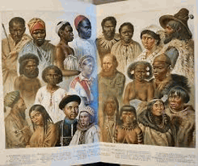 Der Mensch BD2 Entwicklung Bau und Leben des menschlichen Körpers; Zweiter Band