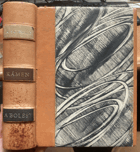 Kámen a bolest POLOKŮŽE Michelangelo Buonarroti