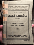 Lesní strážce LOVECKÝ OBZOR