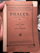 Prales Šumavský román Šumava  LOVECKÝ OBZOR