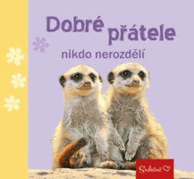 Obálka