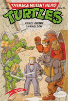 Teenage Mutant Hero Turtles 12