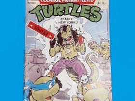 Teenage Mutant Hero Turtles 9
