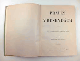 Prales v Beskydách