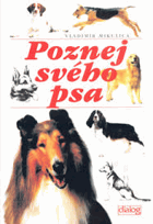 Obálka