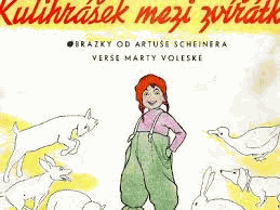 Obálka