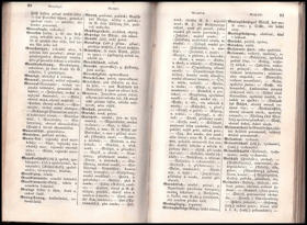 Deutsch-böhmische juridische Teminologie
