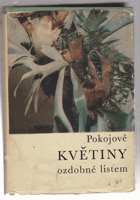 Pokojové květiny ozdobné listem