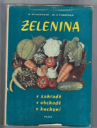 Zelenina v zahradě - v obchodě - v kuchyni
