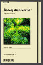 Šalvěj divotvorná - Salvia divinorum