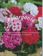 Pelargonie