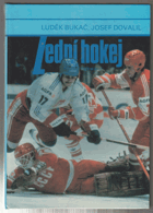 Lední hokej. Trénink herní dokonalosti