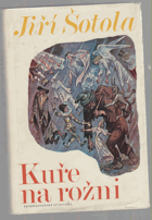 Kuře na rožni VĚNOVÁNÍ ŠOTOLA!!