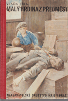 Malý hrdina z předměstí