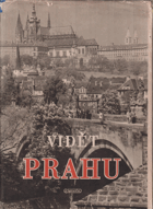 Vidět Prahu